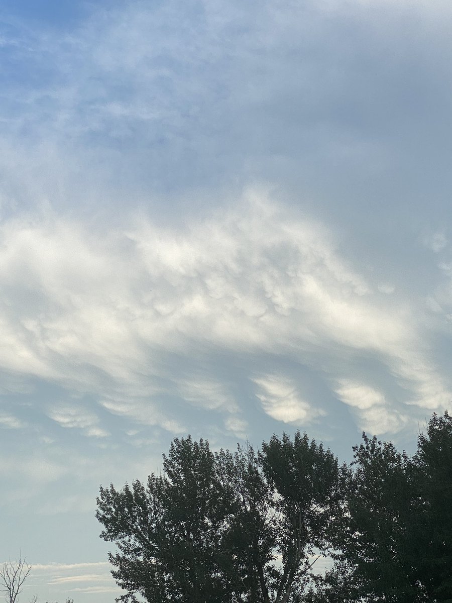 WeatherOrKnotWA's tweet photo. @NWSMissoula Beautiful mammatus moving through The Bitterroot Valley right now southeast of Florence.  #mtwx https://t.co/LWSdvh2JNo