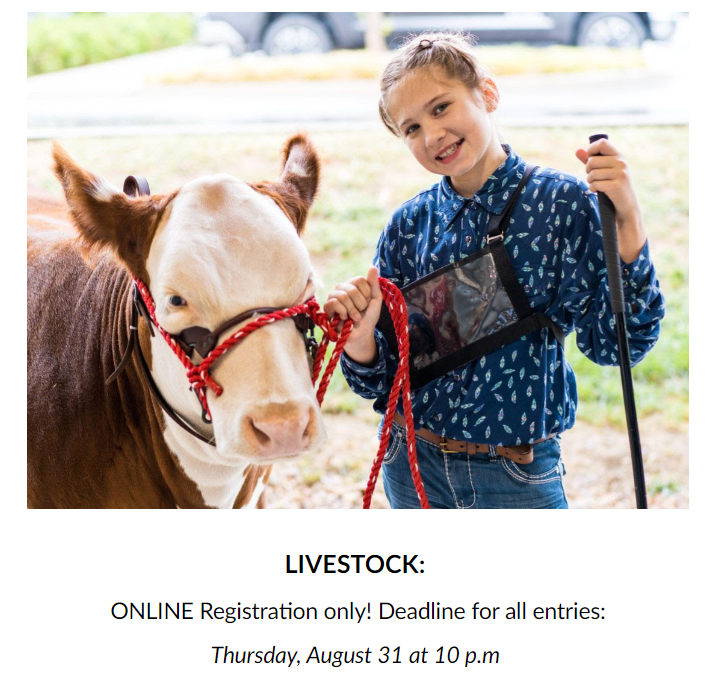 tnhereford's tweet photo. If you haven't yet, be sure to register for the Nashville Fair and the Tennessee State Hereford Show! ONLINE Registration only! Deadline for all entries is Thursday, August 31 at 10 pm.

https://t.co/HFCr8Xa7sj https://t.co/OeokgJx3Pu