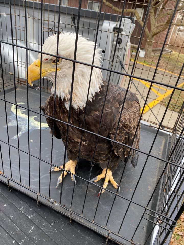 WARWICK BARSTOOL tweet media