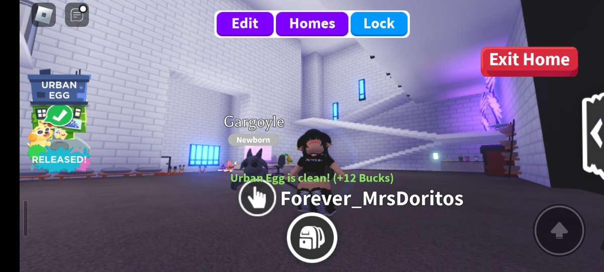 Bro 1st egg I swear!