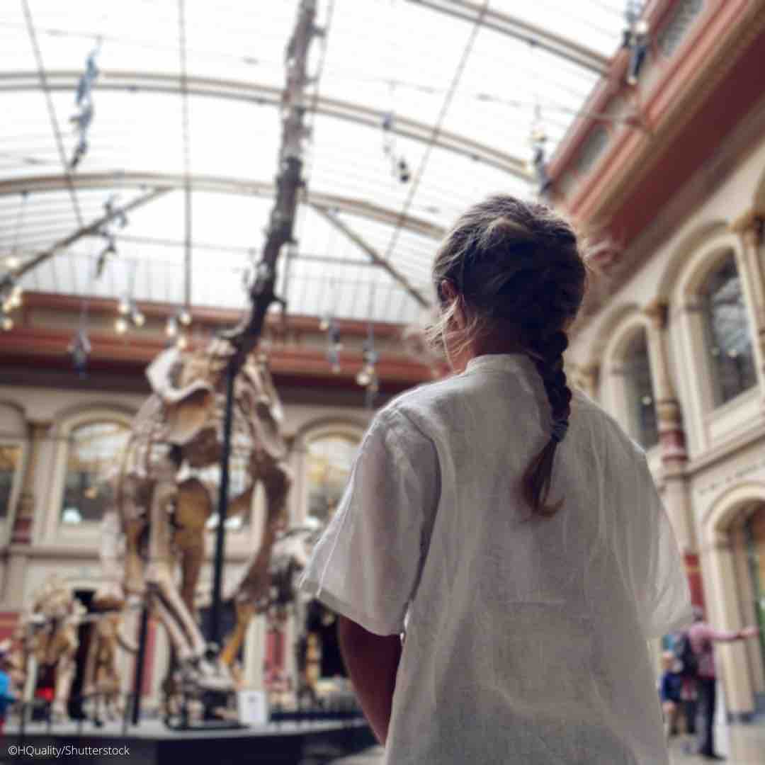 There are approximately 104,000 museums in the world.

These special places of discovery &amp; dialogue connect the stories of the past to those of the present and the future.

What’s your favorite museums? on.unesco.org/3yi8Xe8 #ShareCulture