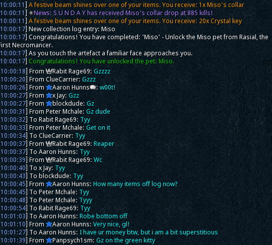 RUNESCAPESUNDAY's tweet photo. The green cat has arrived :D https://t.co/sli5GC0vwq