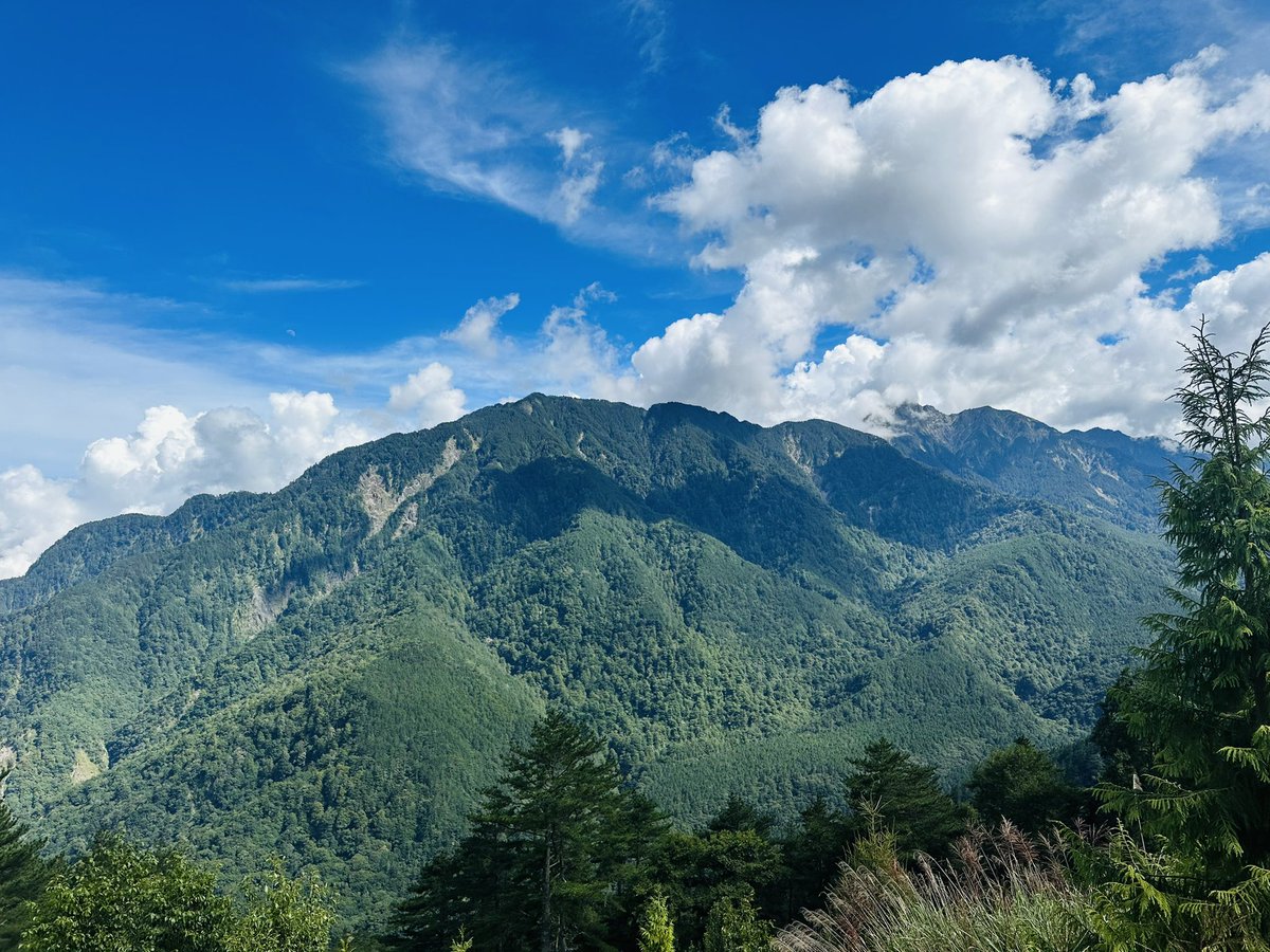 Bensonhuang8051's tweet photo. Mt. Pingfeng

#taiwan 
#3250M 
#sunny https://t.co/UZgX1lYgrR