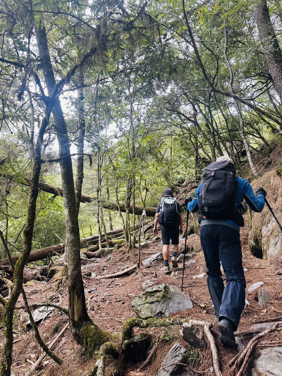 Bensonhuang8051's tweet photo. Mt. Pingfeng

#Taiwan 
#3250M https://t.co/V03isFSuWy