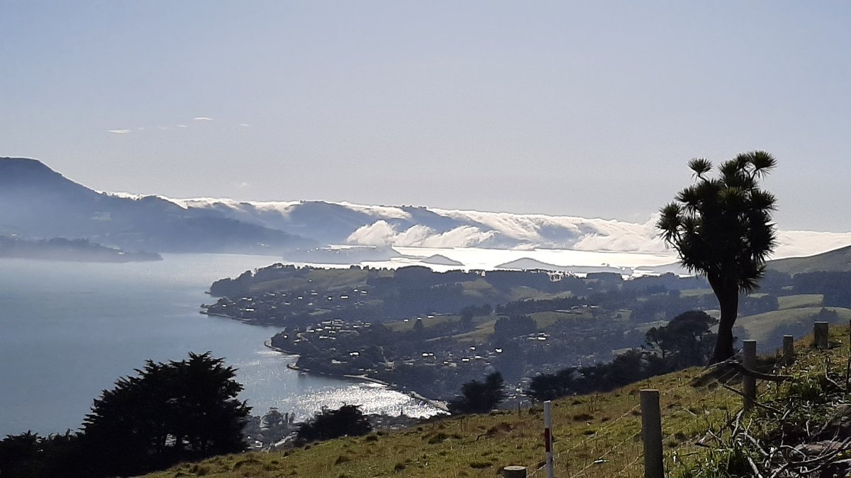 nifleming's tweet photo. Nice morning, Otago Peninsula, NZ. https://t.co/RJ8m4yDOx9