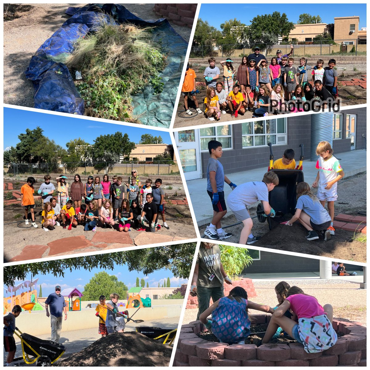 Great day to work in the GOK gardens!! A special thanks to Mrs. Huggins, Mr. Grainger, Mrs. Cook, Mrs Griswold and her 5th grade class.  #OneGOK <a href="/ABQschools/">Albuquerque Public Schools</a>