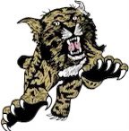 Rondell Greene hauls in a 30 yard pass from Reis Beard on 3rd and 13. Wow. Kats have the ball at the Warriors 30. That was HUGE!!!