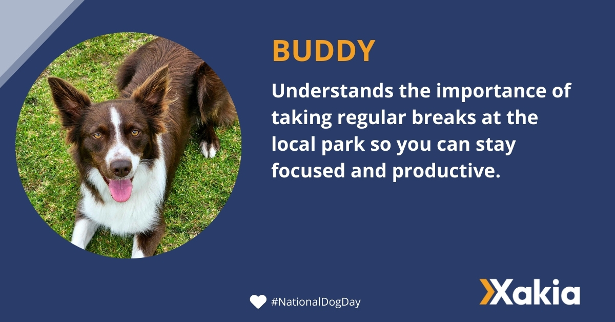 xakiatech's tweet photo. Happy #NationalDogDay to all our furry BFFs today! Today, our Xakarian mates share some of their life lessons and tips with us.
#woof #xakia #pets #LegalTech #InternationalDogDay #DogAppreciationDay #DogDay #DogLover #doggos #dogfriendly #dogcelebration #team https://t.co/uIUwcZPCpZ