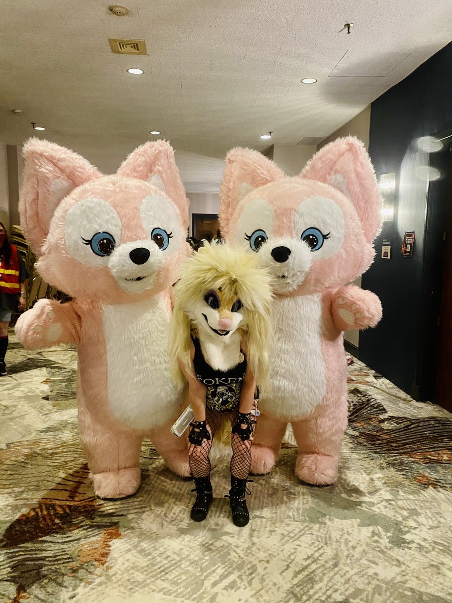 Roxxy_N_Roll's tweet image. A Vixen between a couple foxes here at #IFC2023 💗❤️‍🔥💗
Super cute!!!! 🥹💜