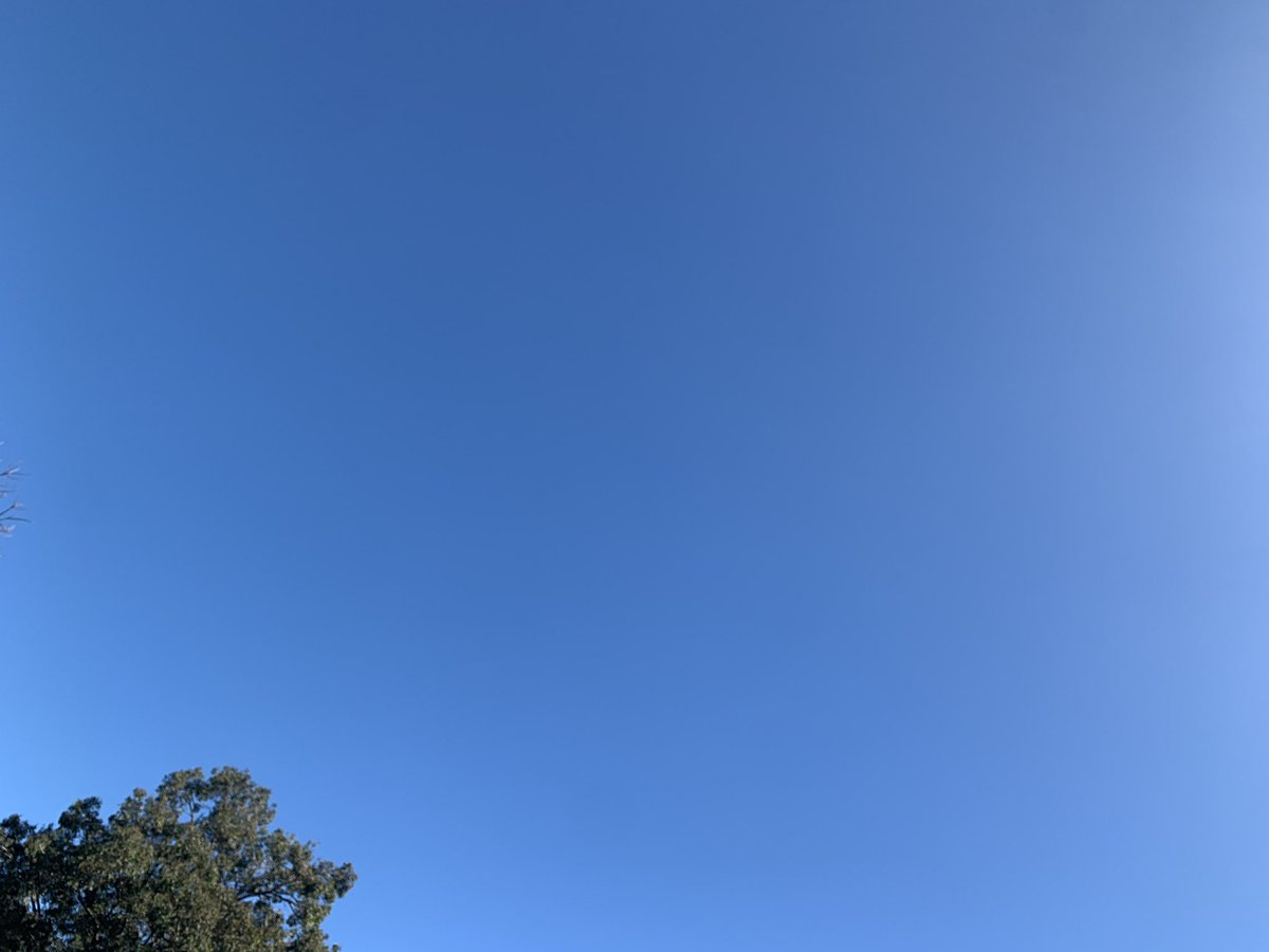 Prue Pike ✨ tweet media