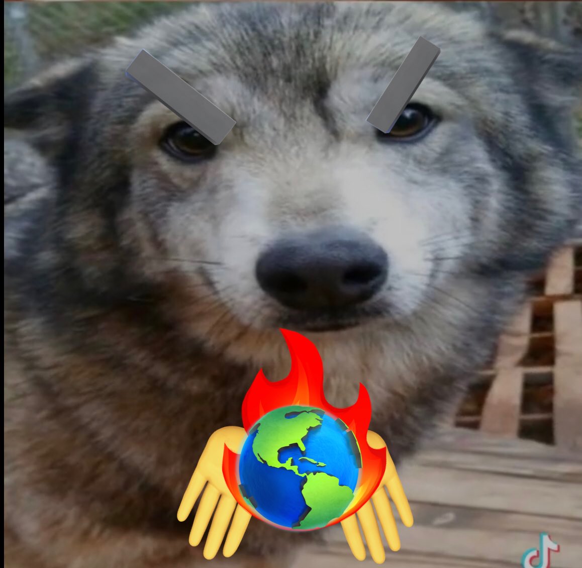 therealQBert's tweet photo. Awooo >:(( https://t.co/vGlt57VKt1