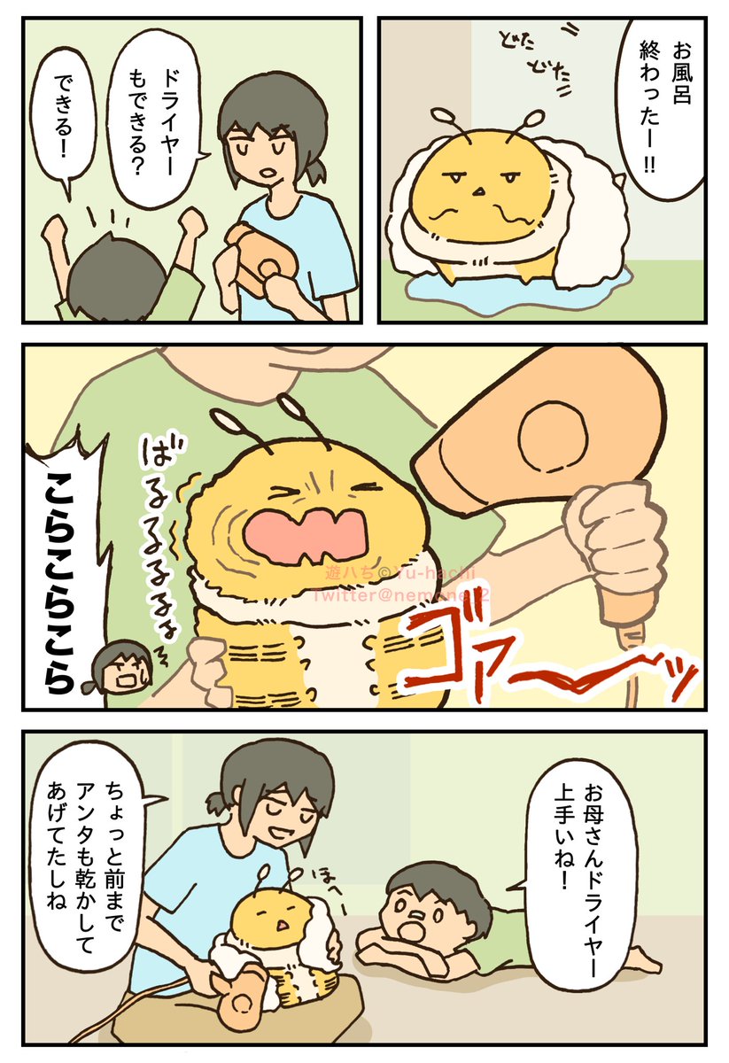 ドライヤーで乾かされるはち