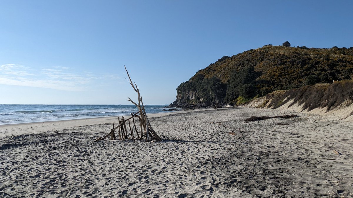 Glenn Watson tweet media