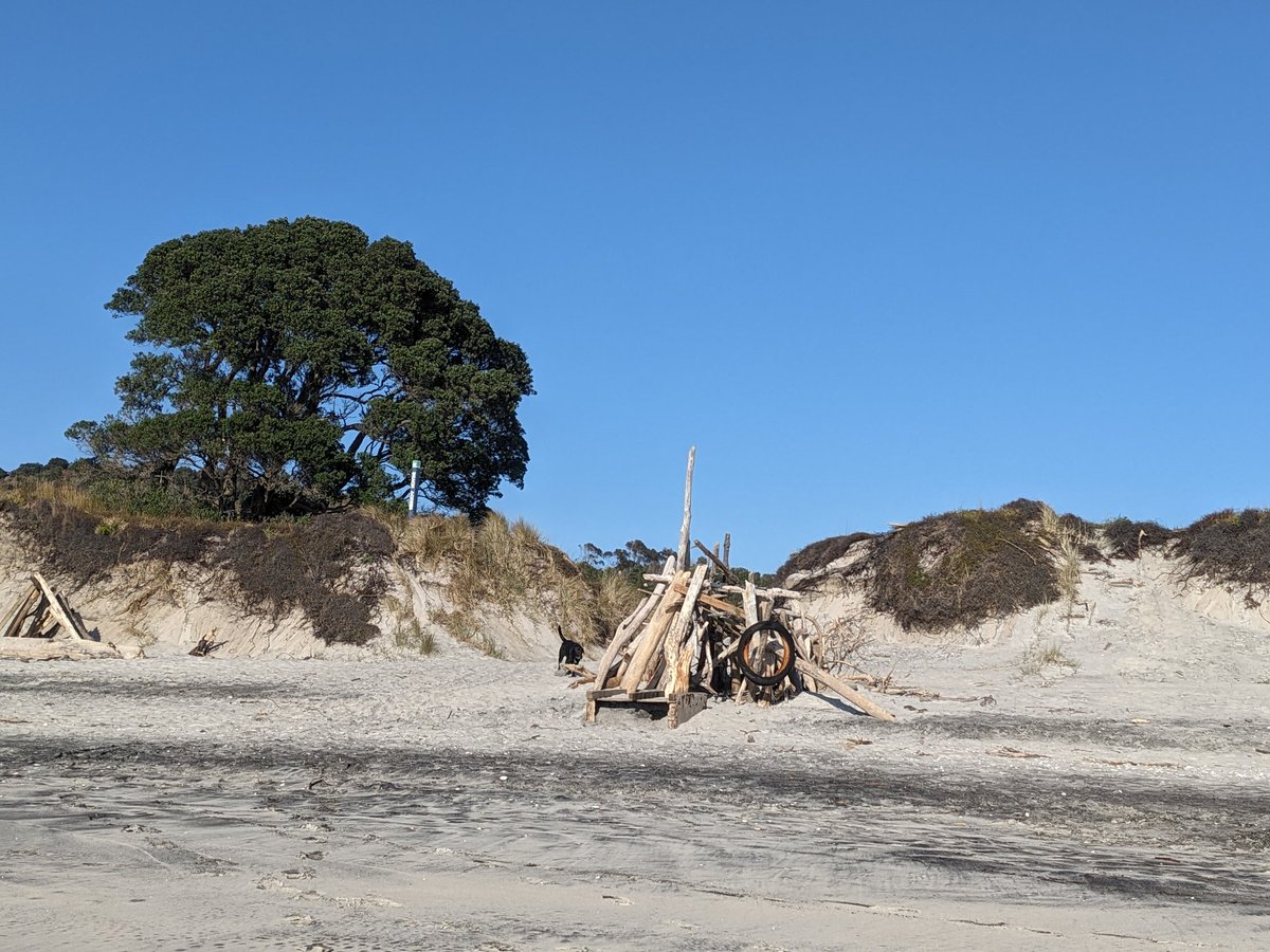 Glenn Watson tweet media