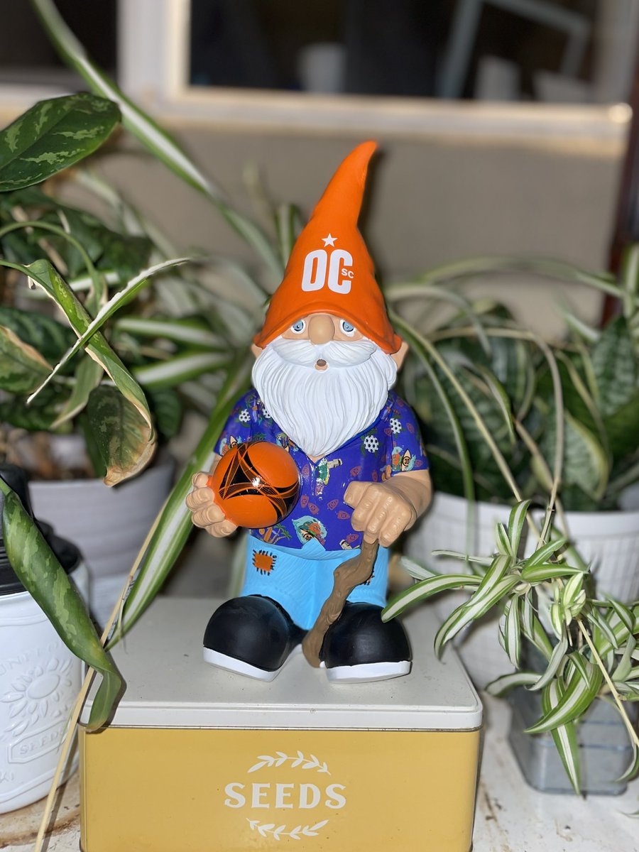 taylorrmaadee's tweet photo. Gnorman the Gnome (Gnarly’s best friend) is keeping watch of our garden 🪴🧡 https://t.co/zg1OQ2rUHm