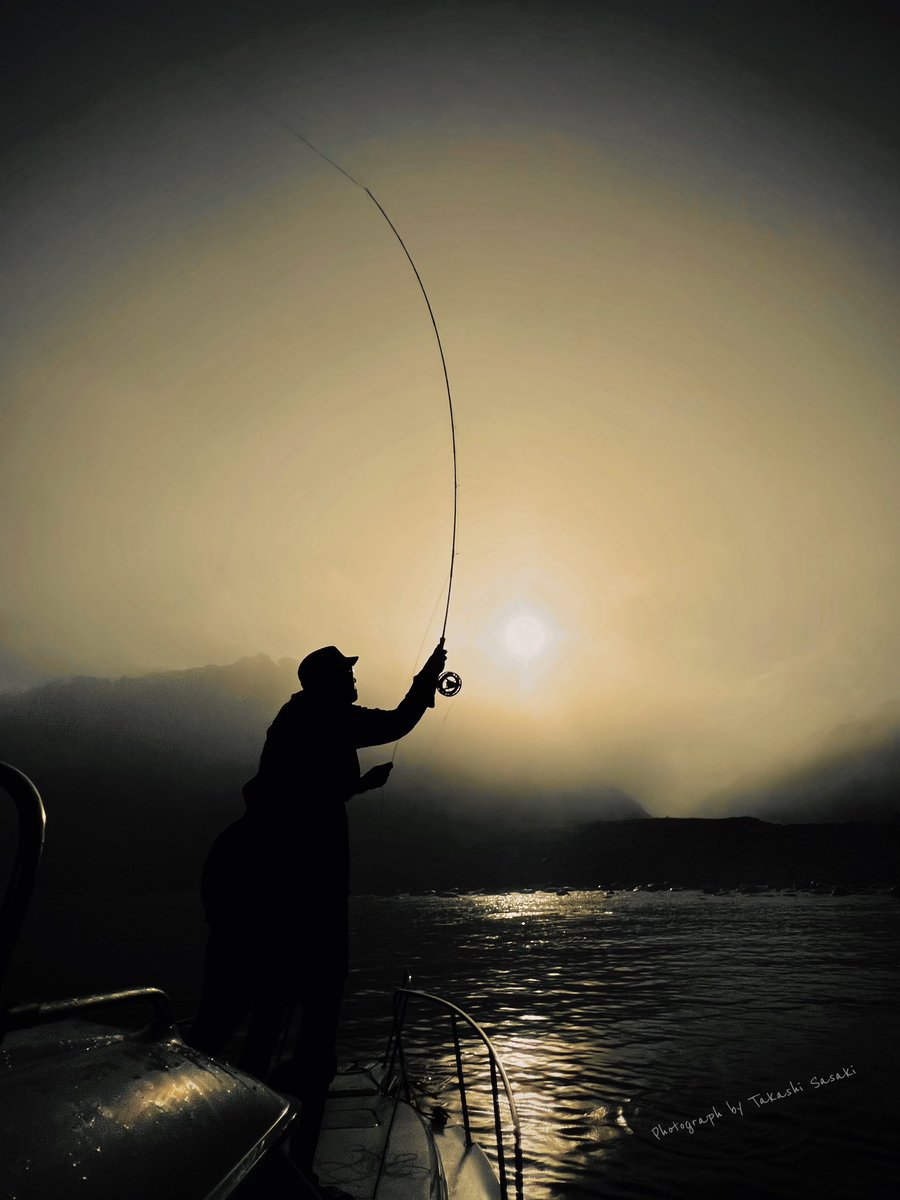 Pinksalmon\, image size:900x1200