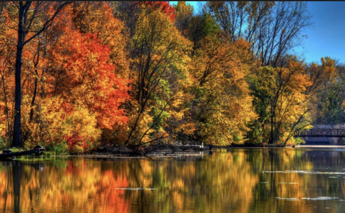 Chloe 🍉 tweet media