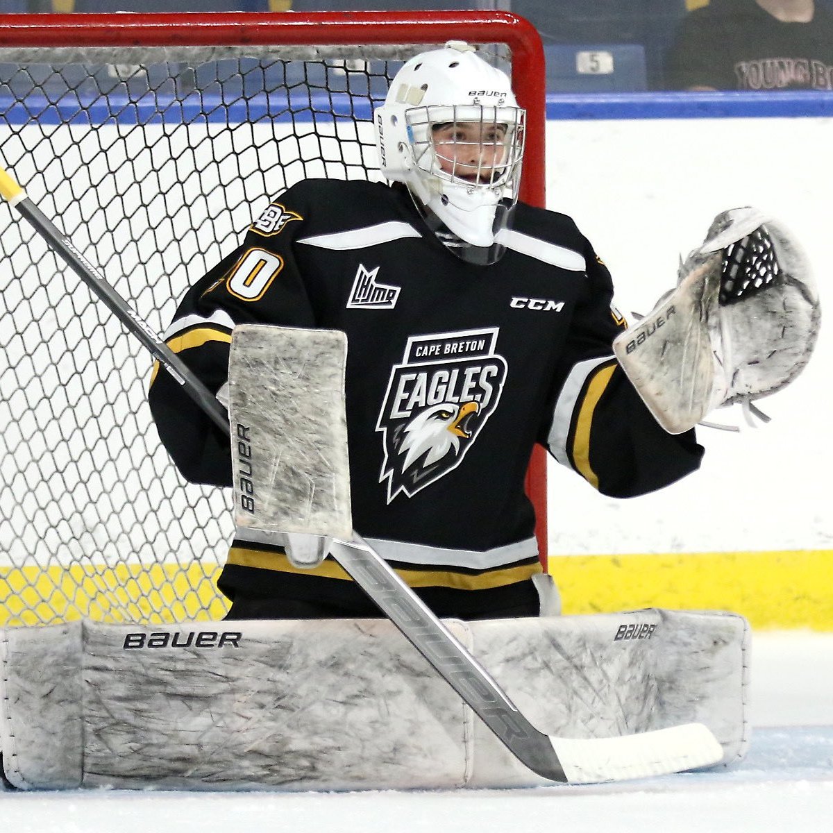 16-year old Rhyah Stewart got the start tonight for the Cape Breton Eagles where she saved all 24 shots she faced. 

What a <a href="/QMJHL/">QMJHL</a> debut. 👏

📸: <a href="/CHLHockey/">Canadian Hockey League</a>