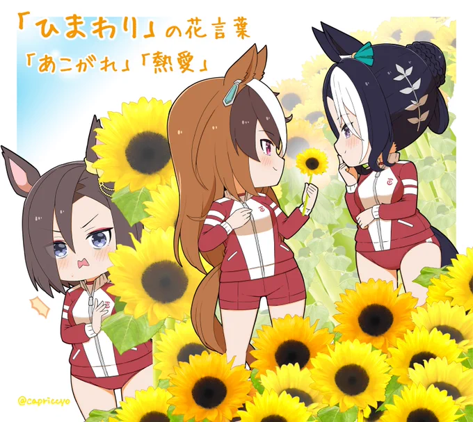今日は小倉9Rでひまわり賞がありますね 貴様はひまわりの花言葉を知っているか?