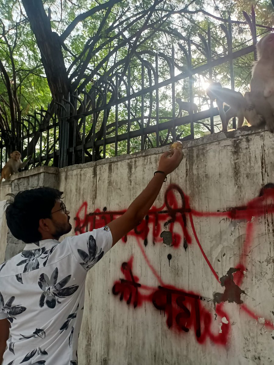 Samarth_1523's tweet photo. @samarth members is feeding animals under our program "feed  the needy" 
#helpingothers 
#animallover https://t.co/wGcXDvMeu8
