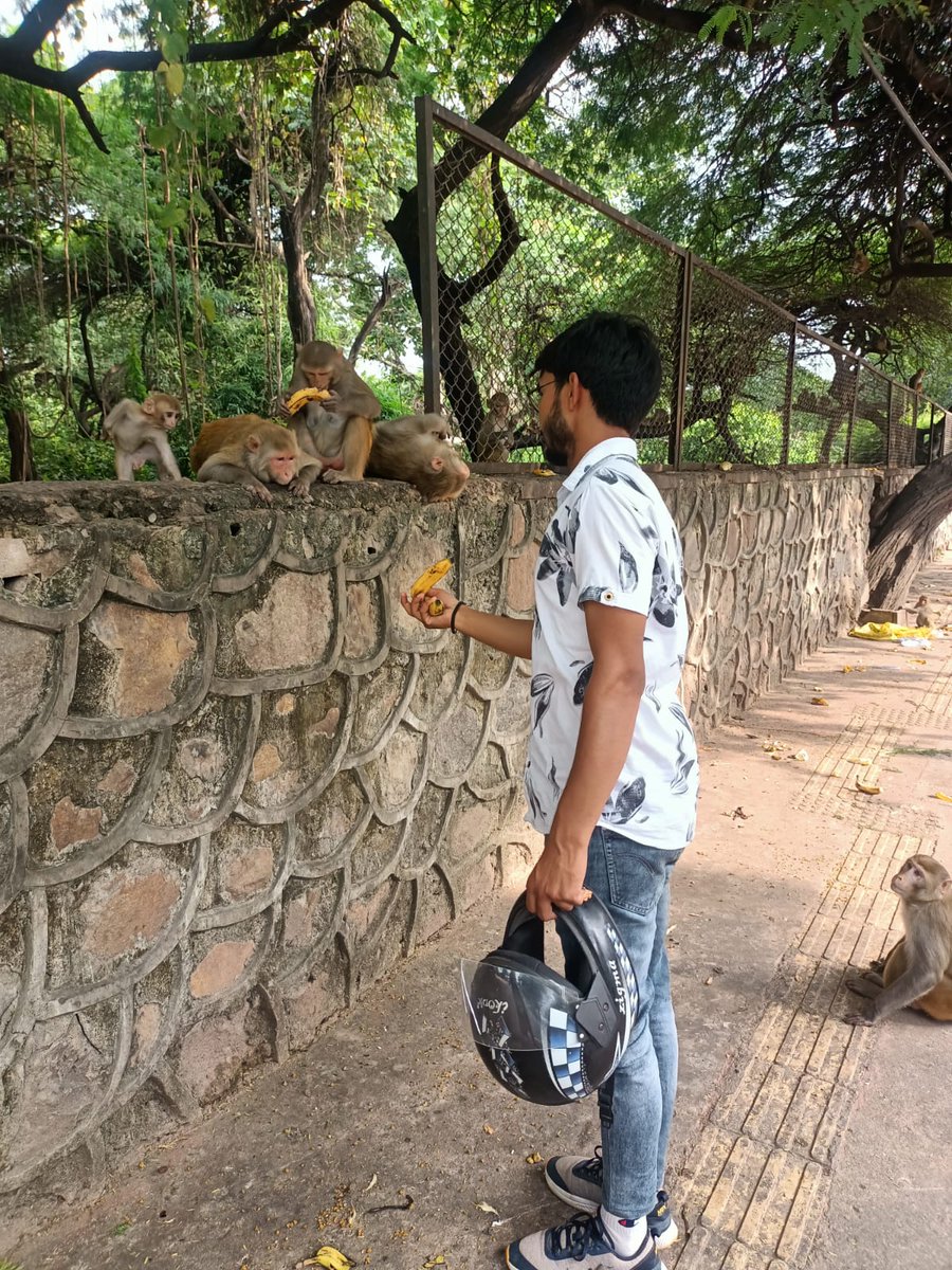 Samarth_1523's tweet photo. @samarth members is feeding animals under our program "feed  the needy" 
#helpingothers 
#animallover https://t.co/wGcXDvMeu8