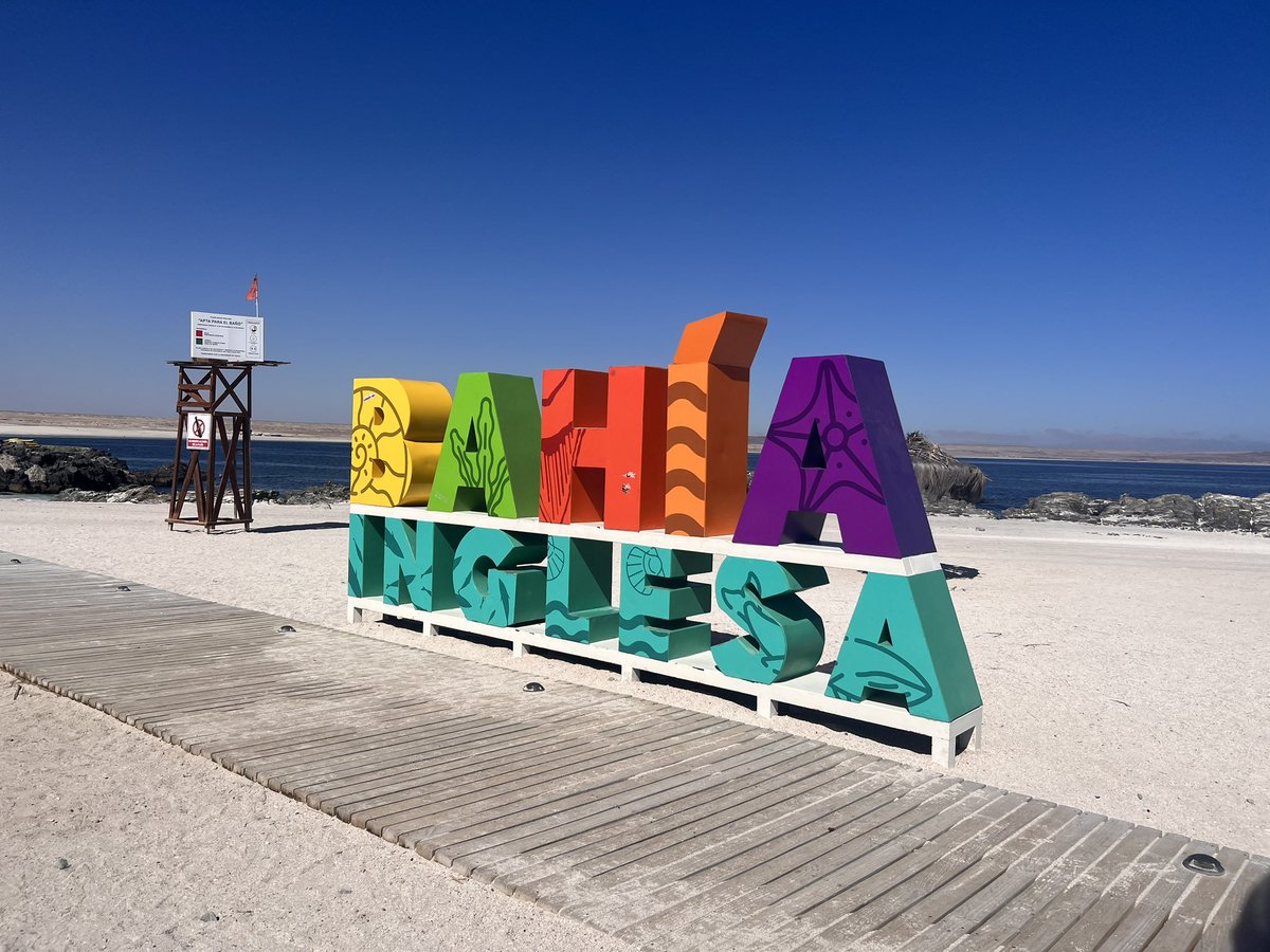 Distancephobia's tweet photo. Nos fuimos a la playa a ser felices y matar esas penas🦀🌴☀️

#Bahiainglesa #atacama #Chile #CalderaChile https://t.co/AZUoDjvZQG