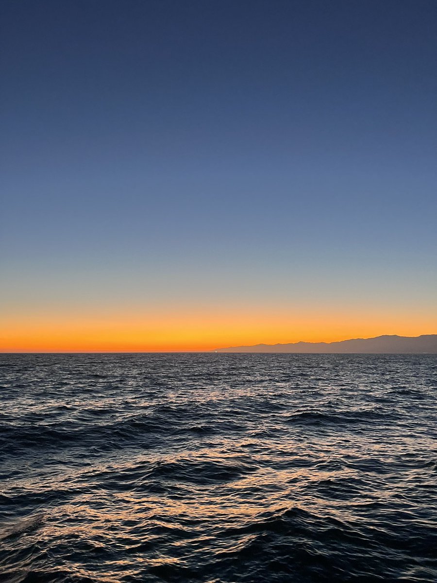 MARQ528 (🐥,🪱,🌿) (@marq528) on Twitter photo 