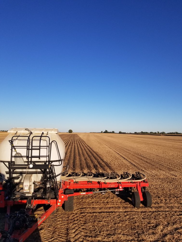 Mitch Wirth tweet media