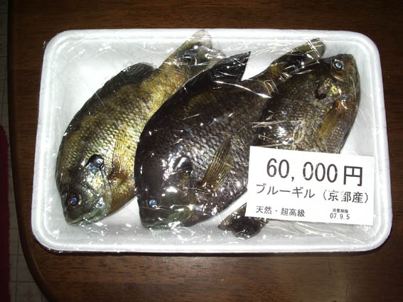 @Marubayashi_ なーるほど。
実は昔、よくギルを「狙って」釣行してました。
このサイズ(左)になると、身が大きく超美味なので、
「これくらいの値段がついてもおかしくないくらい美味い!」
とアピールするために、こんなパロ包装で写真撮ってました(笑)
また10cm内外のものは、全て唐揚で(右)。 