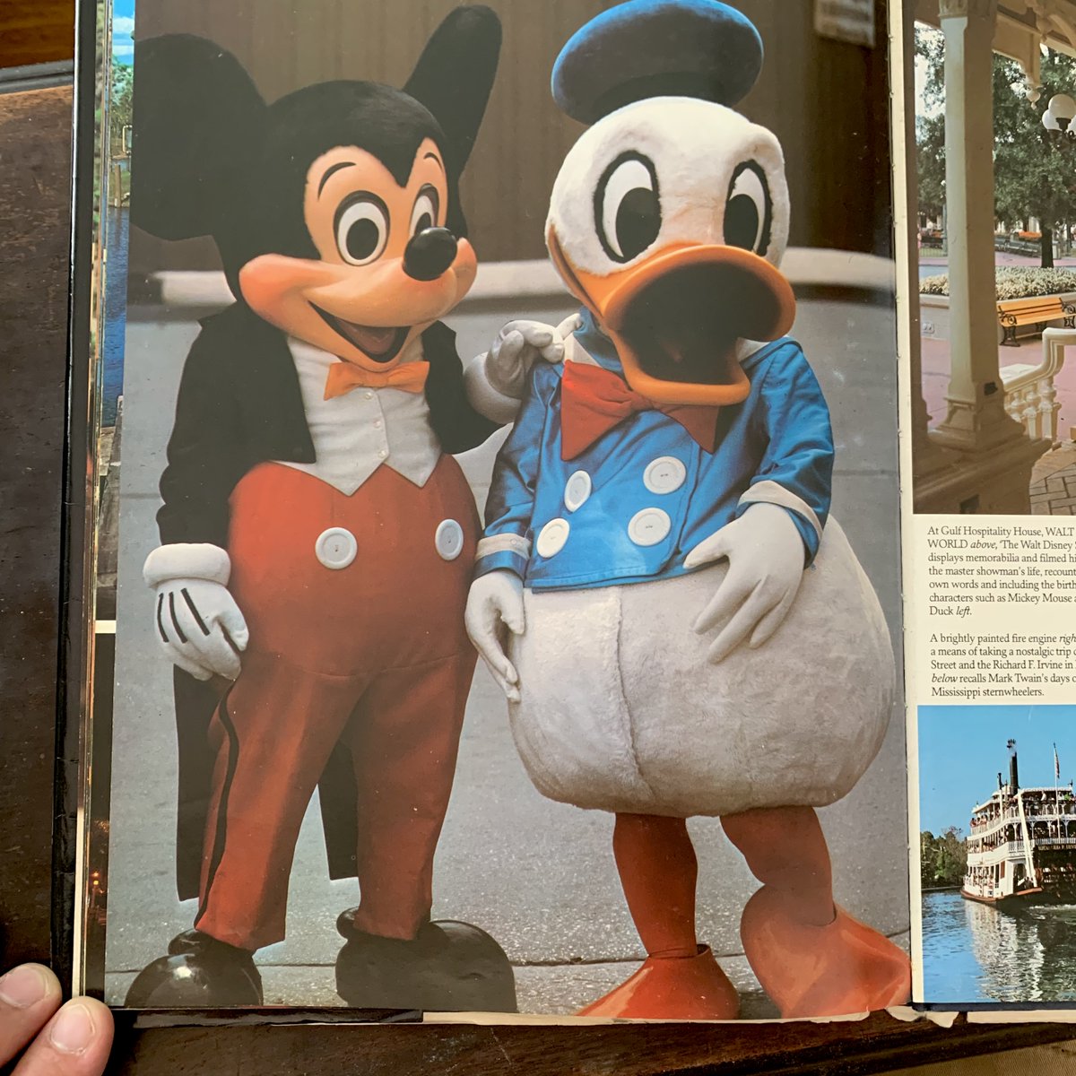MyChildhoodDis's tweet photo. #Disney #disneycharacters #disneyparks #MickeyMouse #DonaldDuck https://t.co/6pALlFTU4n