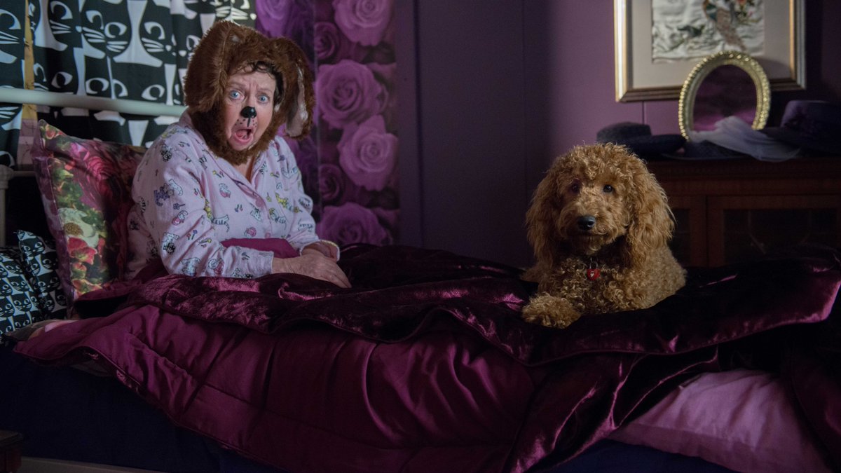 Waffle the Wonder Dog TV Show tweet media