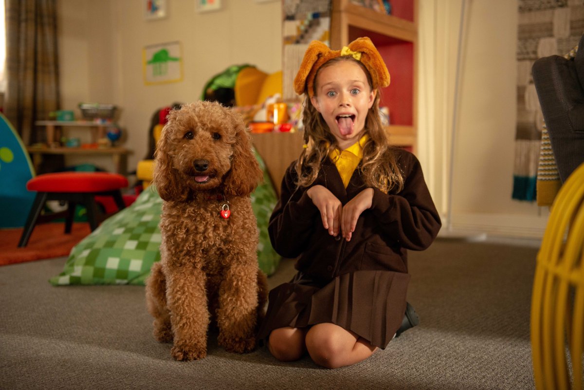 Waffle the Wonder Dog TV Show tweet media