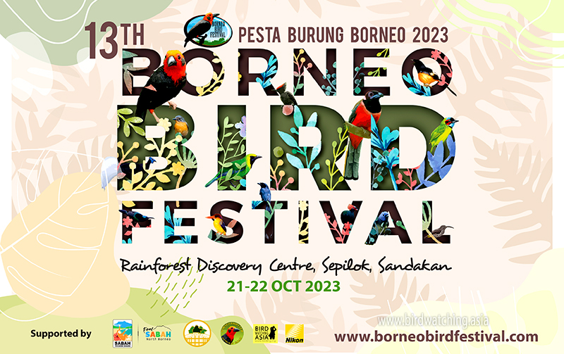 The Borneo Bird Festival 2023 is this 21-22 October in Sabah, Borneo - bit.ly/45M0nTY #BorneoBirdFestival #BBF2023 #BorneoBirdFestival2023 #borneobirds #birdwatching #birdfestival #BirdsOfTwitter #birdrace #malaysiatrulyasia #feelsabah