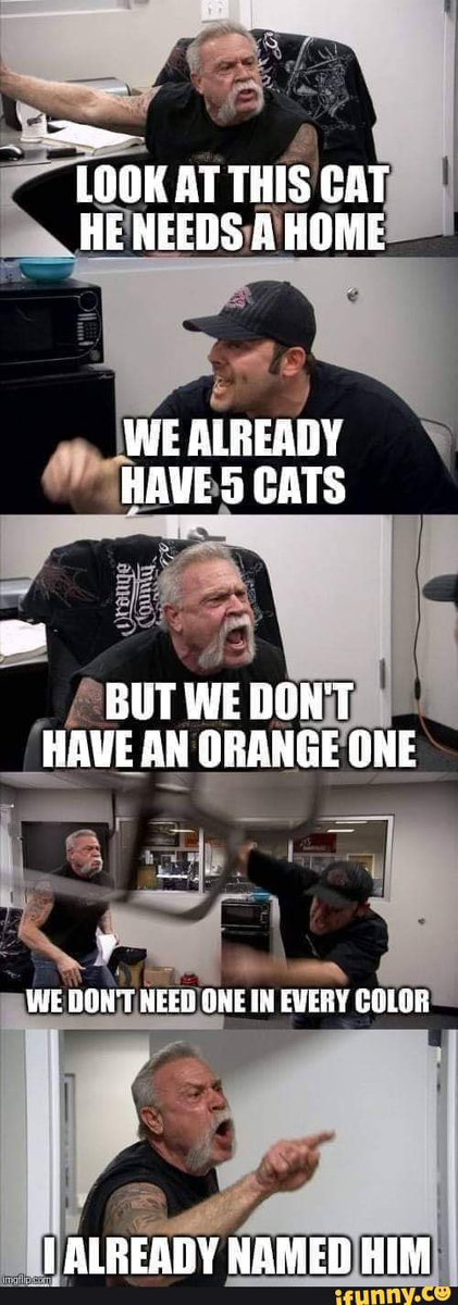 Solid logic 🤷🏼‍♀️😹😹😹
#memes #CatsofTwittter #cats #catmemes