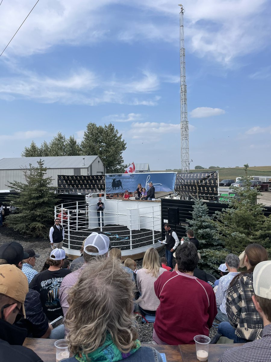A great day and an amazing set of cattle at the <a href="/Bohrson/">Bohrson Marketing</a> Family Matters sale today. <a href="/cdnangus/">Canadian Angus</a> <a href="/CdnSimmental/">Canadian Simmental</a> <a href="/CDNLimousin/">Canadian Limousin</a> <a href="/AltaGenetics/">Alta Genetics</a>