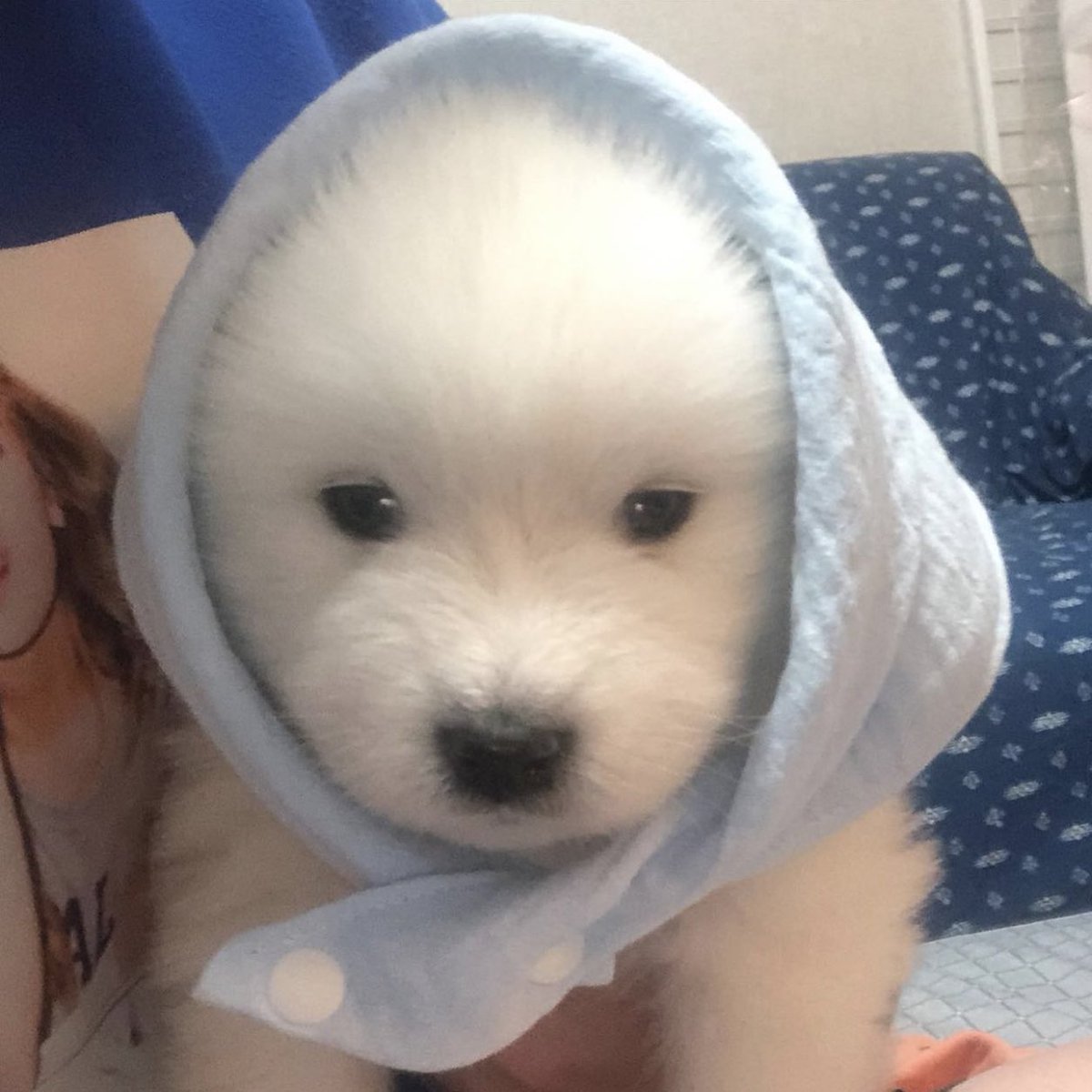 นน tweet media