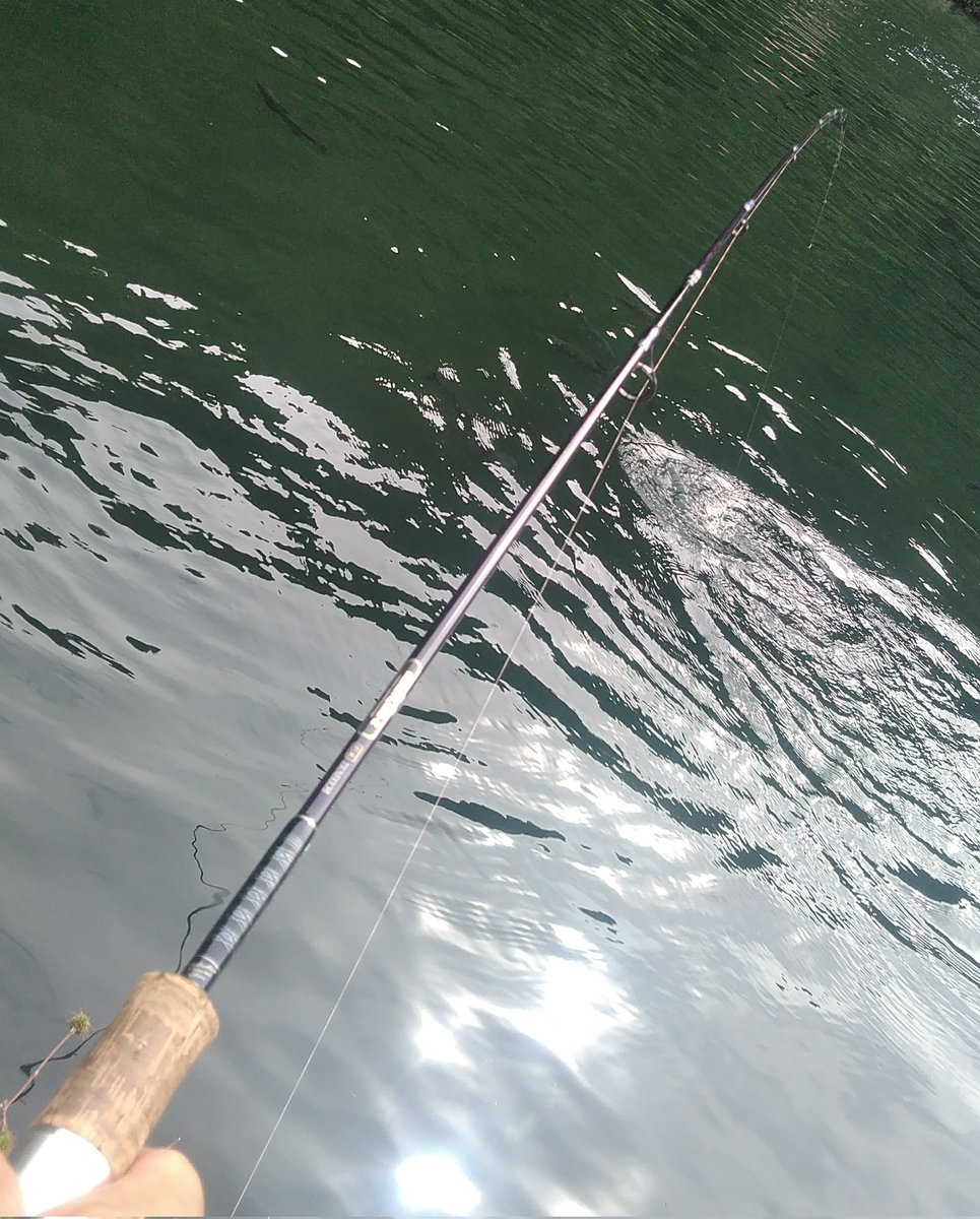 noburons's tweet photo. ショートロッドに500番リール．．．🎣

😏　知って良いこと　知らぬ方が良いこと
とにかく　この一台　使い潰してみます　😆

エッ！潰すどころか　増えてるじゃないですか！🤷
妄想フィッシング　今日も爆釣中！💫😵 https://t.co/VrvocGizta
