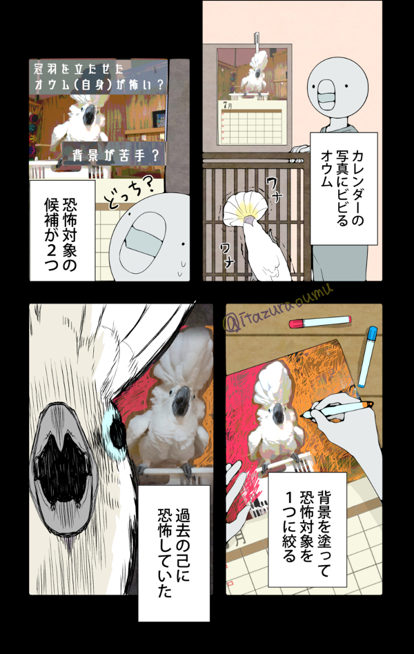 自分の写真が分からないオウム