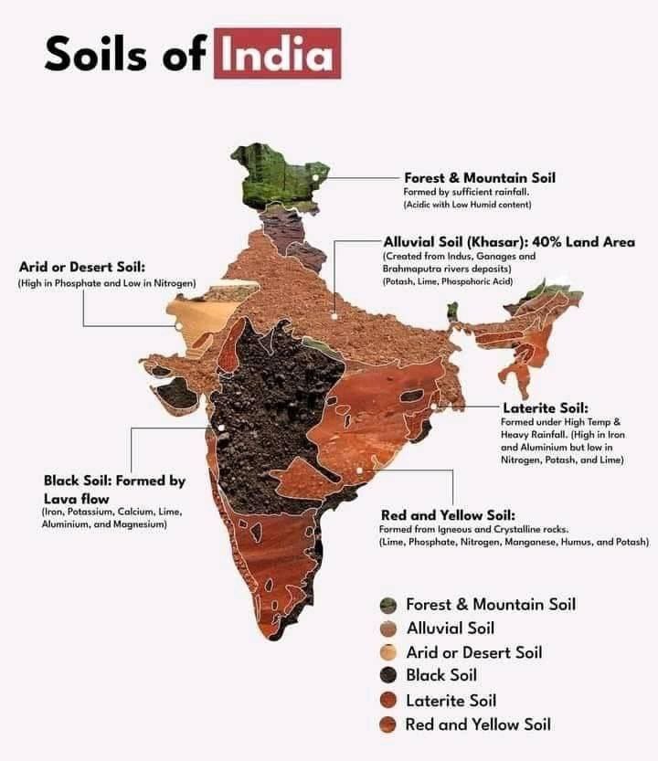 UPSC_Notes's tweet photo. Soil Map Of India 🇮🇳 https://t.co/uGnIDNwjS1