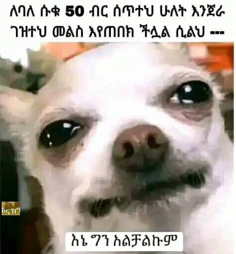 ADHAM REALTY / REALESTATE (@agentnatnaelg) on Twitter photo 