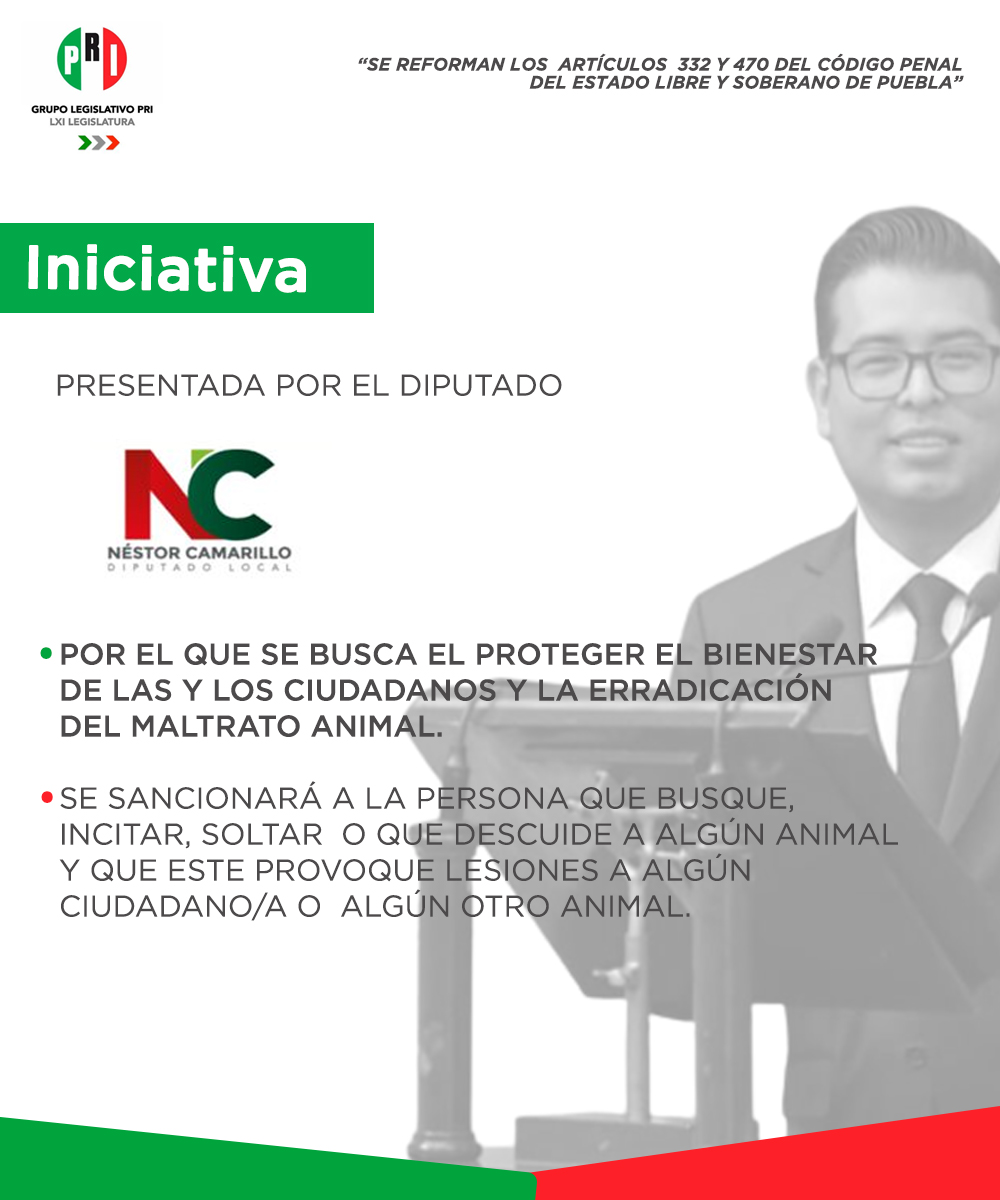 Asimismo, el Diputado <a href="/NestorCamarillo/">Néstor Camarillo</a> presentó una Iniciativa de Decreto en favor del bienestar de los animales, con ello se busca sancionar la violencia ejercida contra ellos.