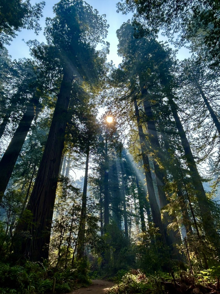 Alex Pasquariello tweet media