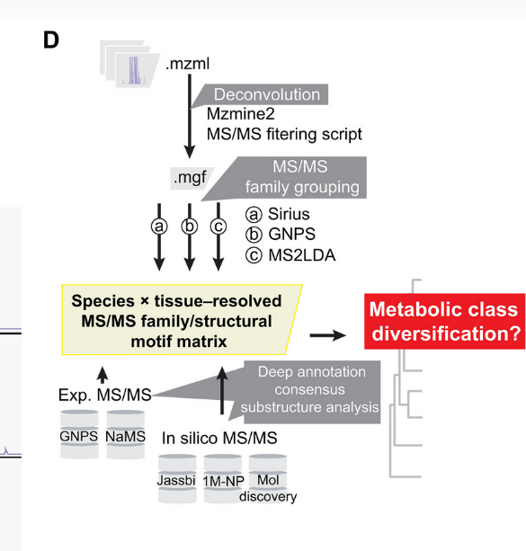 BiswapriyaMisra's tweet photo. A beautiful @ScienceAdvances 📜:
Evolutionary #metabolomics of specialized #metabolism diversification in .. https://t.co/hHuKgNwOZ6 uses ALL #tools #resources accessible:

SIRIUS
GNPS
MS2LDA
MZMine2
molDiscovery lib
NP-CANOPUS
MatchMS
NP-Classifier
CFM-ID
Jassbi DB
1M NP-DB https://t.co/FcTtsvWa9z