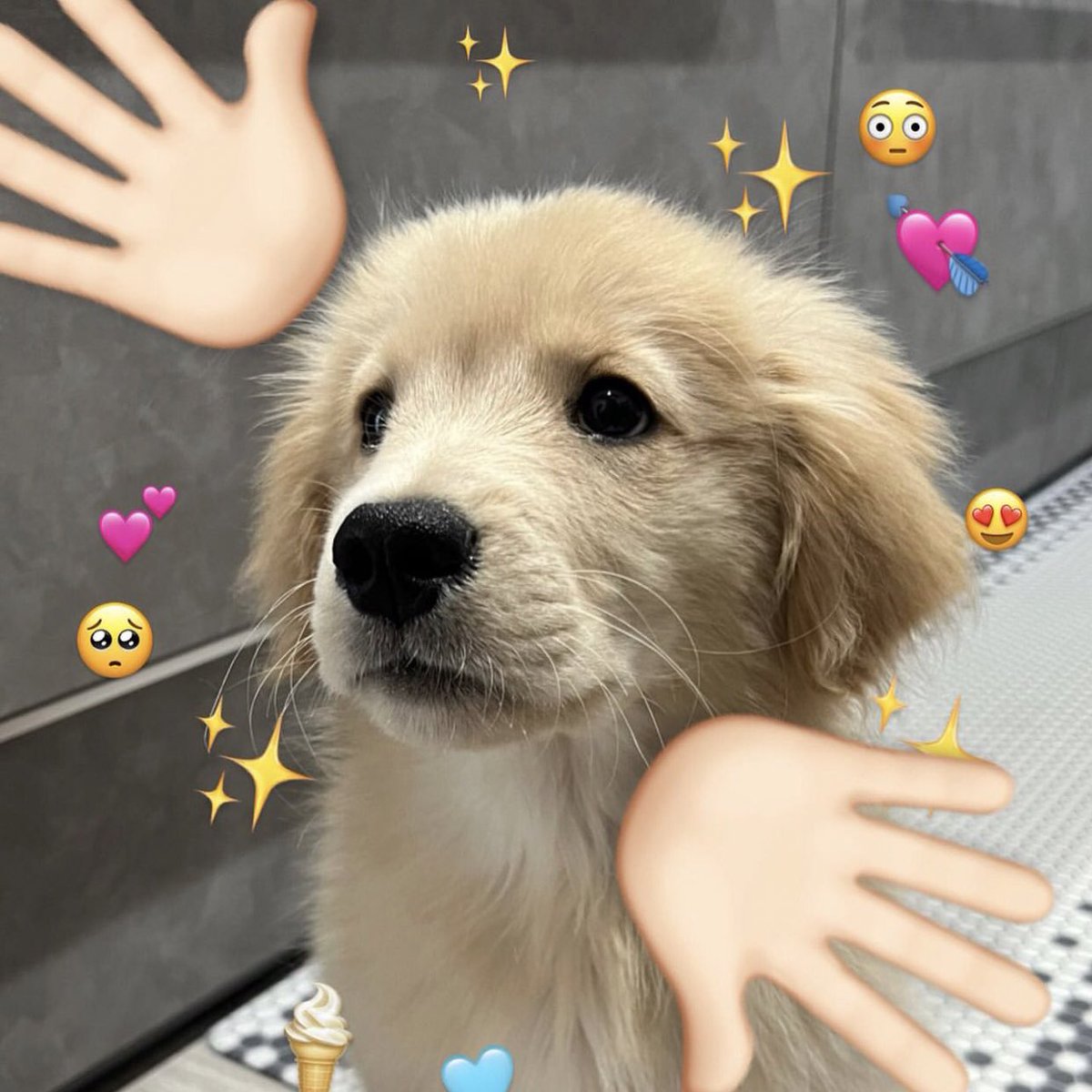 takemybear's tweet photo. กุ้ดมอเน่งค้าบ 🥺 https://t.co/WoeQ7seISD