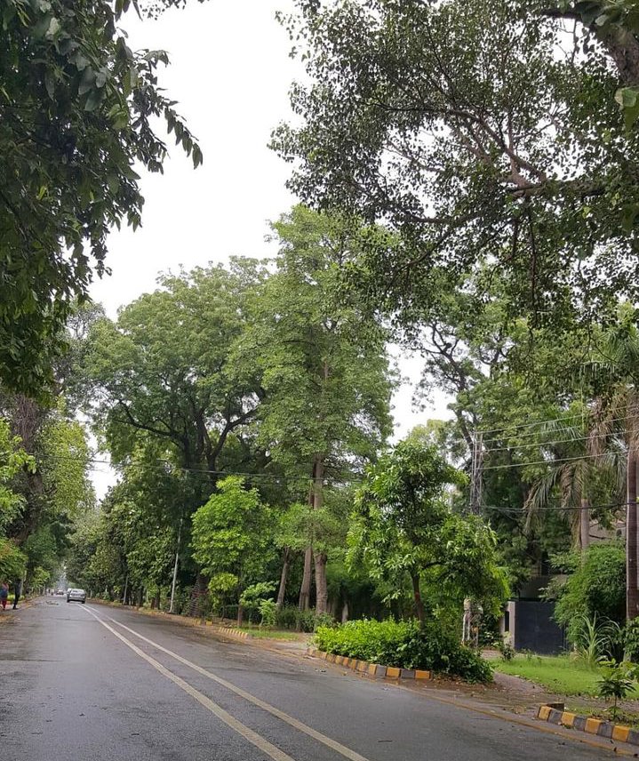 LaughingGene2's tweet photo. Lahore's weather never disappoint https://t.co/y5dp103jRf
