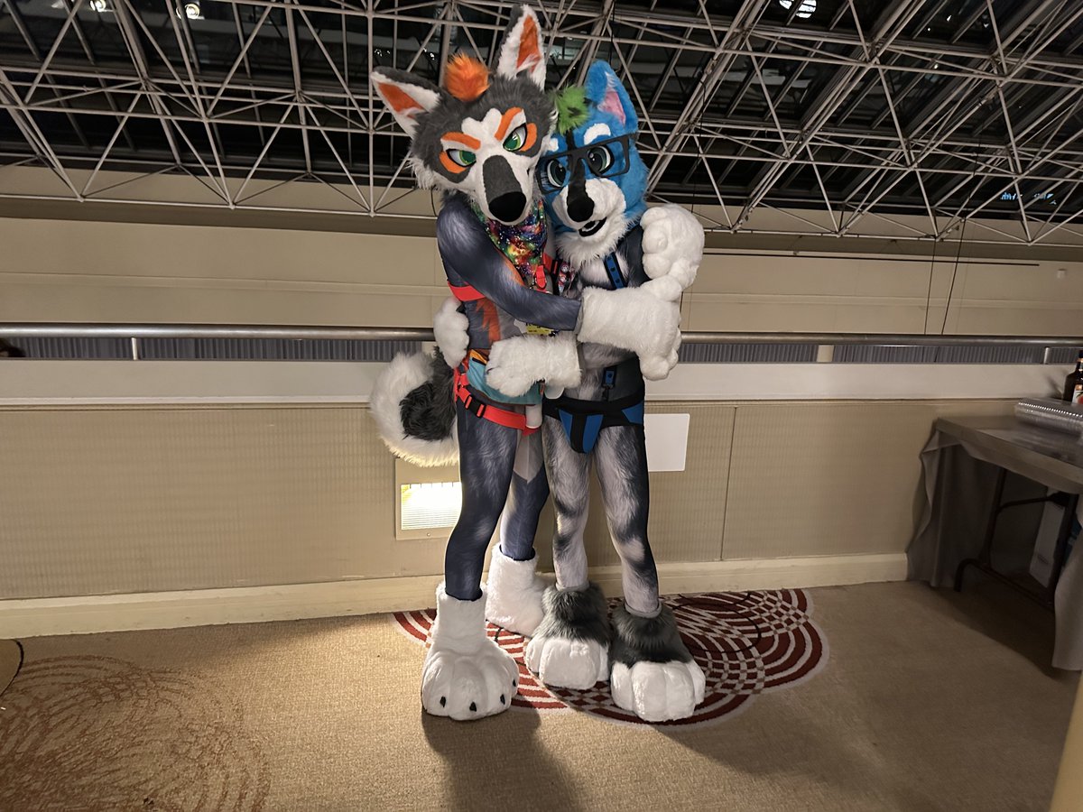 🐾 Zuki Curl @Home tweet media