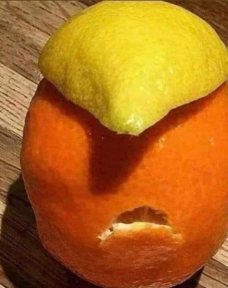 MarxRobby's tweet image. #Trumpster 
#MugShot 
#Dialectics