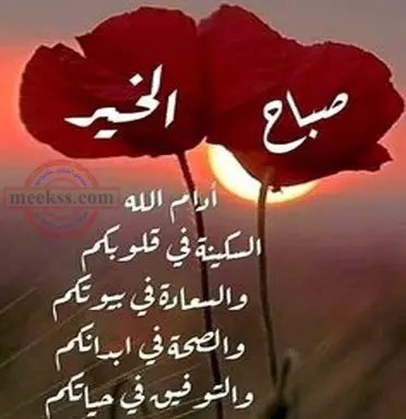 mohabmw2007's tweet photo. https://t.co/jqbDLQJBgK