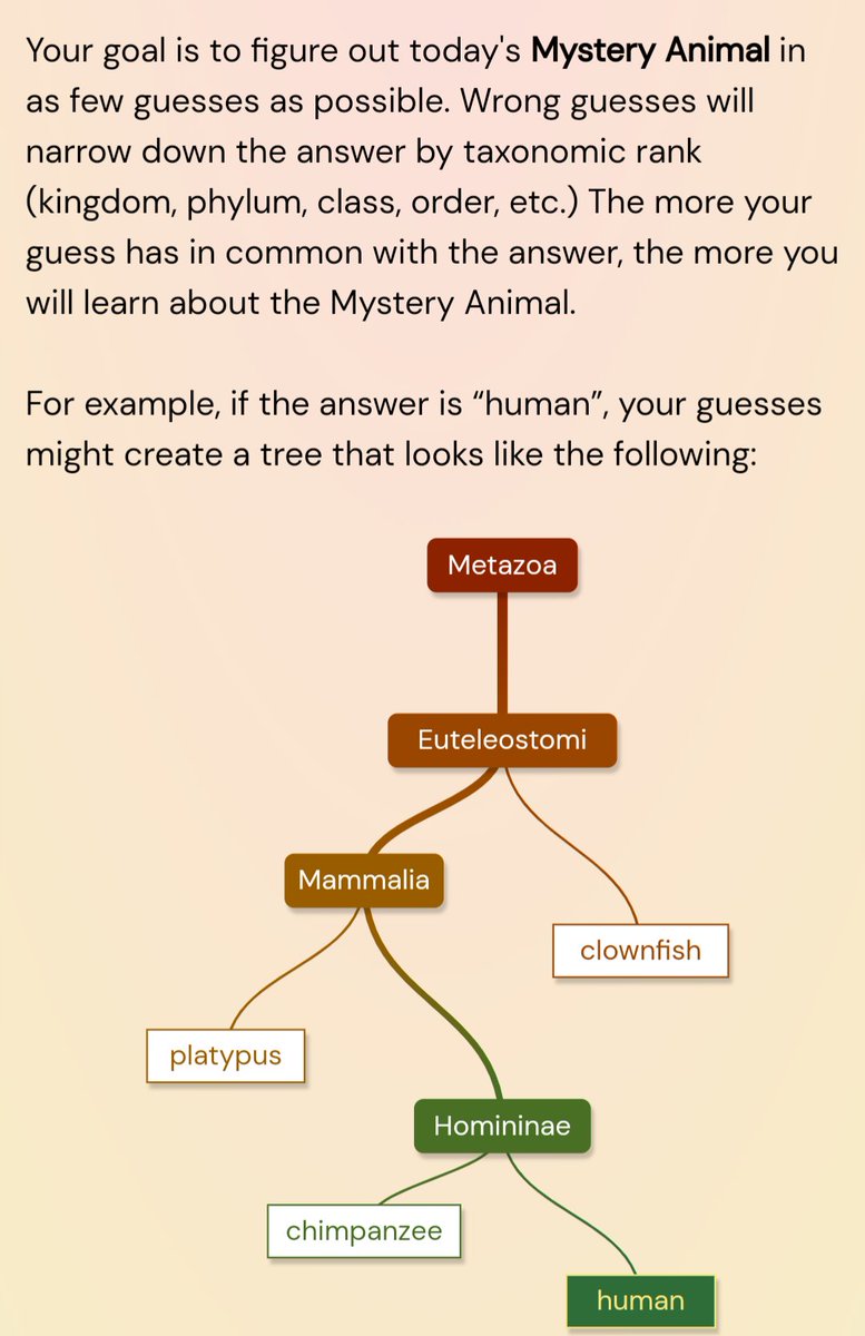 hyper(bolic) disco(unting) girl tweet media