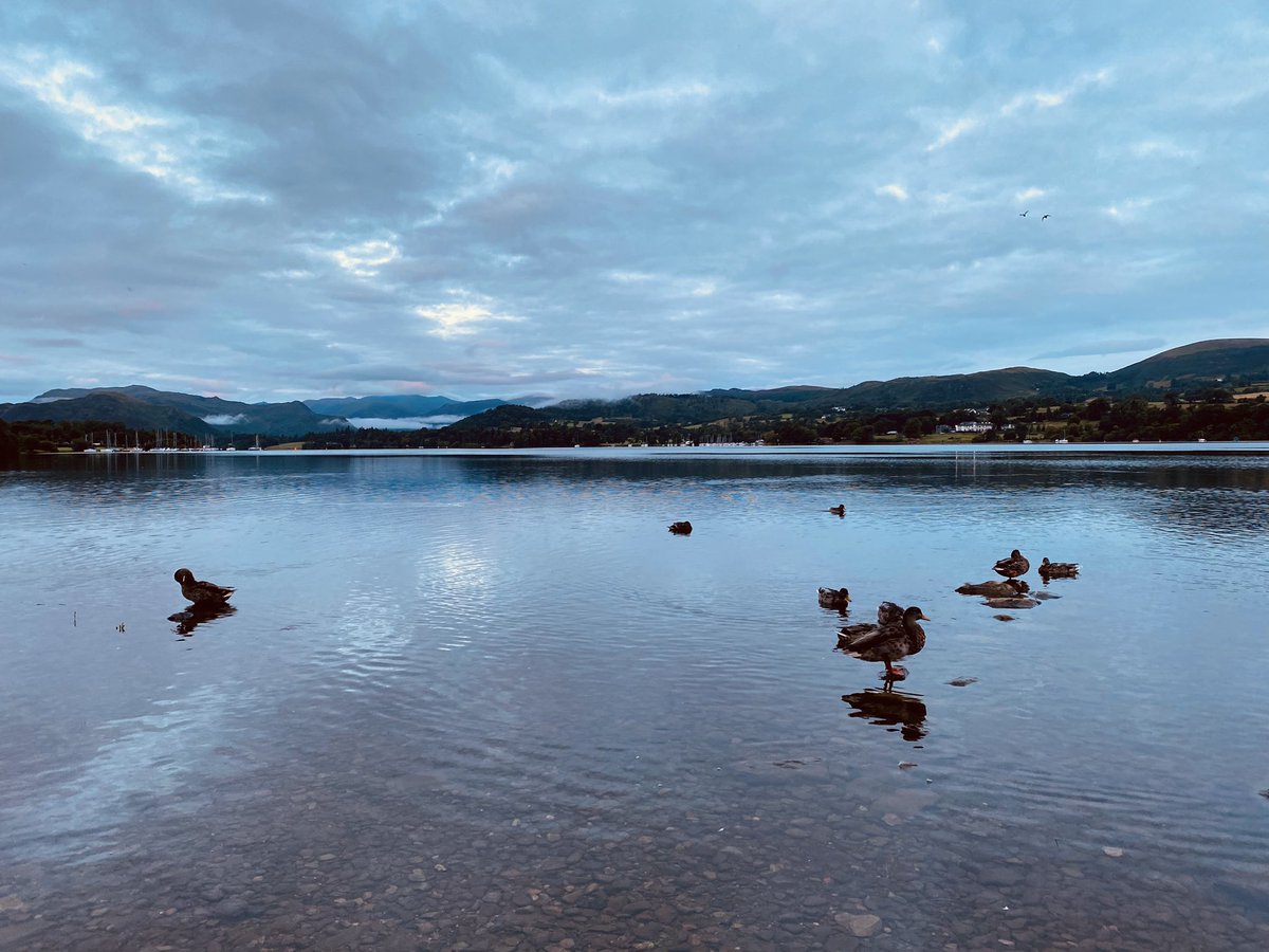 6AM morning walk day 26 #WeActiveChallenge #AHPsActive